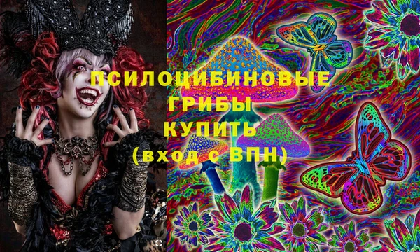apvp Алексин