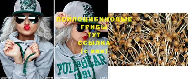 ГАЛЛЮЦИНОГЕННЫЕ ГРИБЫ Алзамай