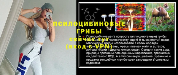 ГАЛЛЮЦИНОГЕННЫЕ ГРИБЫ Алзамай