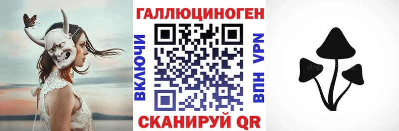 купить Нерехта Галлюциногенные грибы Cubensis